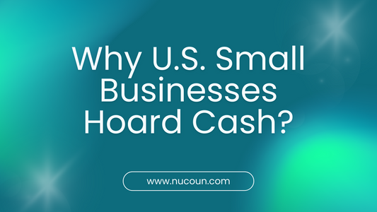 Why U.S. Small Businesses Hoard Cash?